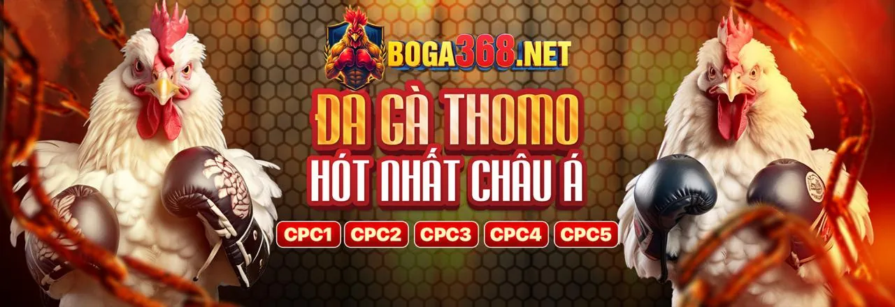 Hình ảnh chính blog 66vn login
