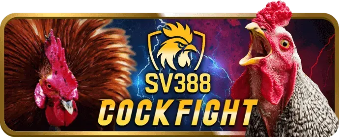 Chương trình VIP 66vn